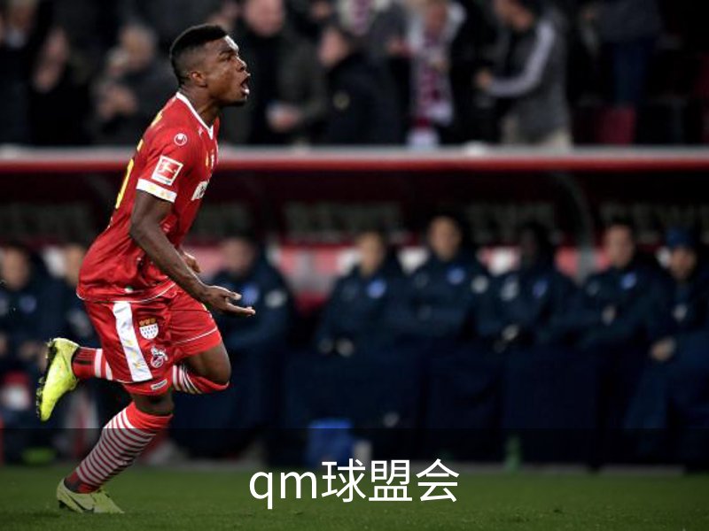 qm球盟会介绍